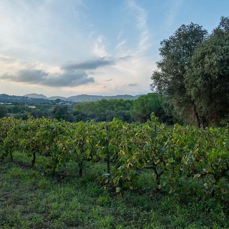 Casa Rural El Bruguer Vell Santa Eulalia de Ronsaná エクステリア 写真