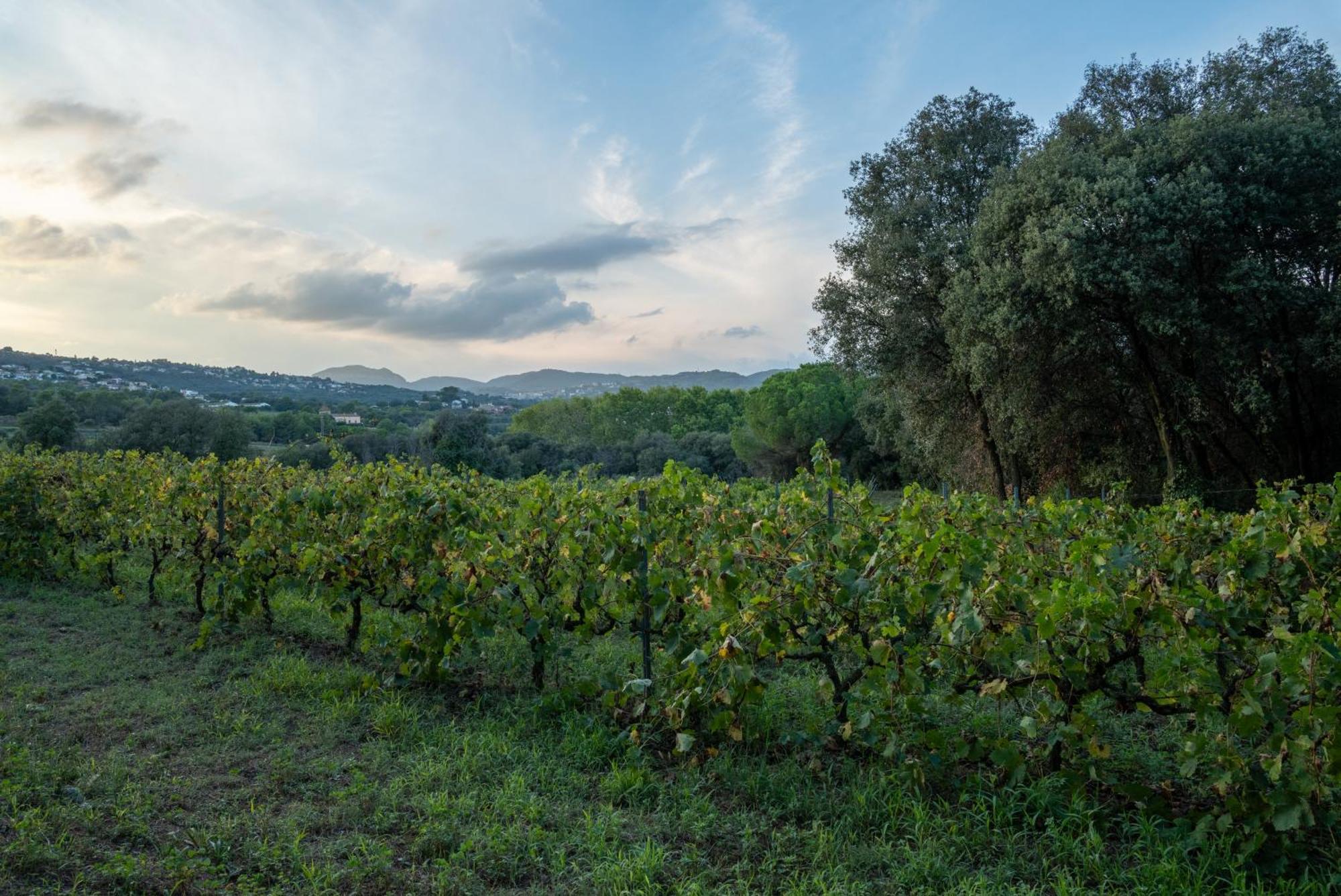 Casa Rural El Bruguer Vell Santa Eulalia de Ronsaná エクステリア 写真